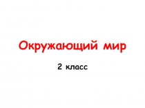 Презентация по окружающему миру Виды транспорта