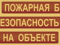 Презентация по ОБЖ на тему Пожарная безопасность на объектах образования(11 класс)