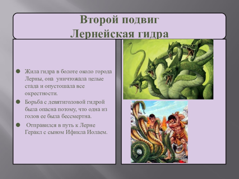 2 подвиг. Подвиги Геракла 2 подвиг. Второй подвиг: Лернейская гидра. Лернейская гидра подвиг. Убийство Лернейской гидры подвиг Геракла кратко.