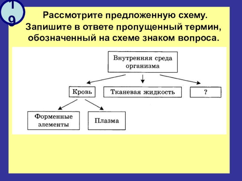 Рассмотрите предложенную схему строения и функций клетки запишите в ответе пропущенный термин