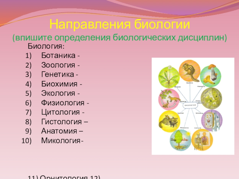 Направления биологии