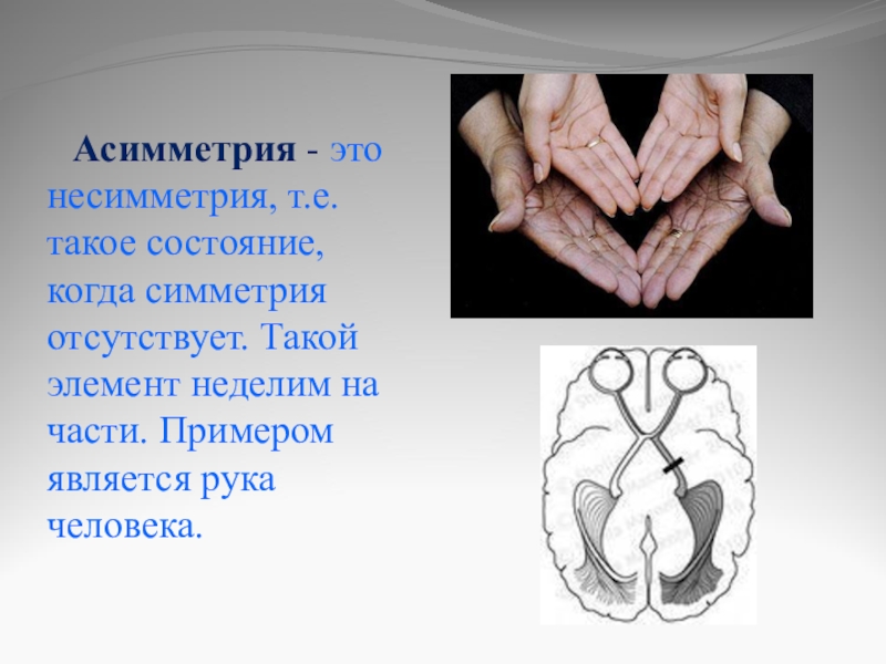 Асимметрия это. Асимметрия. Асимметричная симметрия. Асимметричность биология. Двусторонняя асимметрия.