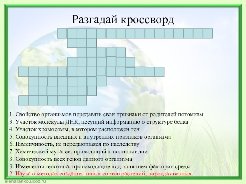 Интересные вопросы по биологии презентация