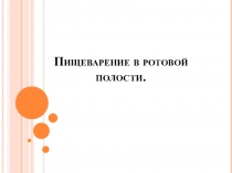 Презентация по биологии Пищеварение в ротовой полости