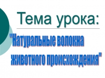 Презентация к уроку по технологии Натуральные волокна животного происхождения