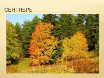 Презентация к уроку окружающего мира 1 класс  Что нам осень подарила