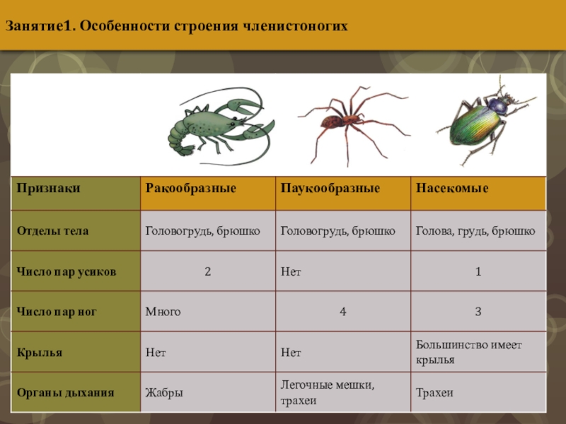 Входная контрольная по информатике 8 класс ответы Итоговая контрольная по информ