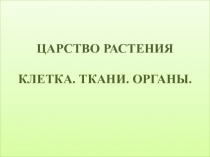 Презентация для подготовки к ГИА Ткани растений