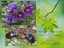 Презентация по биологии на тему Охрана окружающей среды в Ростовской области