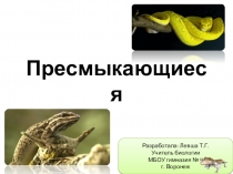 Презентация по биологии на тему Класс Пресмыкающиеся (7-8)