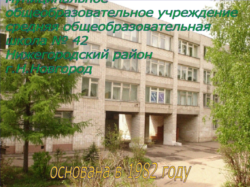 Школа 42 новгорода. Школа 42 Нижний Новгород. 28 Школа Нижний Новгород Ленинский район. Школа 42 Нижний Новгород картинки.