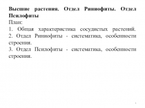 Первые выходцы на сушу - сосудистые растения - Риниофиты