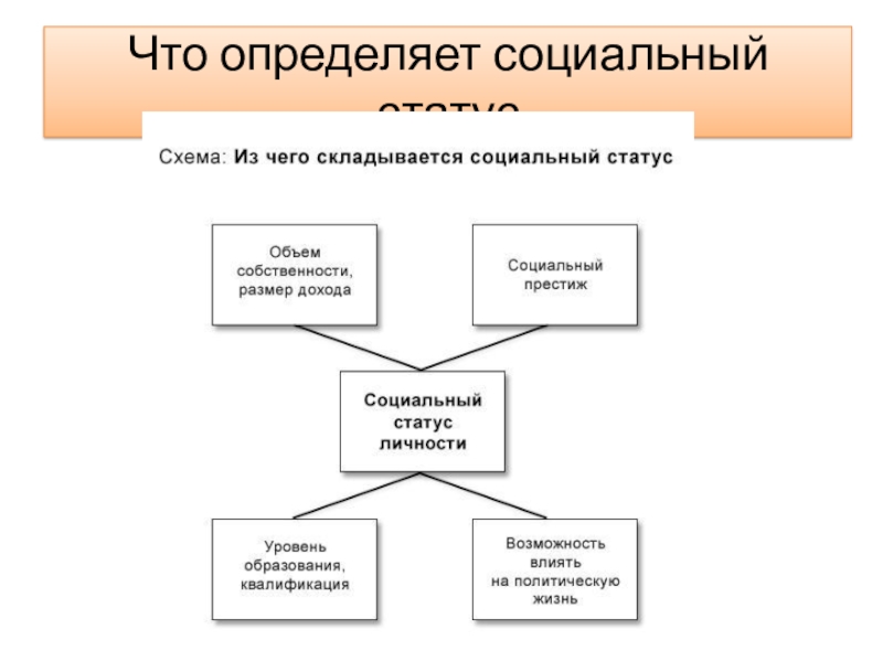 Социальные статусы и роли 8 класс