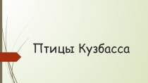Птицы Кузбасса