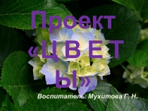 Проект на тему: Цветы в старшей группе