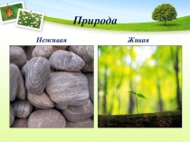 Презентация по биологии на тему Свойства живого (5 класс)