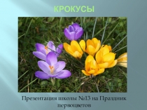 Презентация внеклассного мероприятия Крокусы