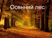 Осенний лес