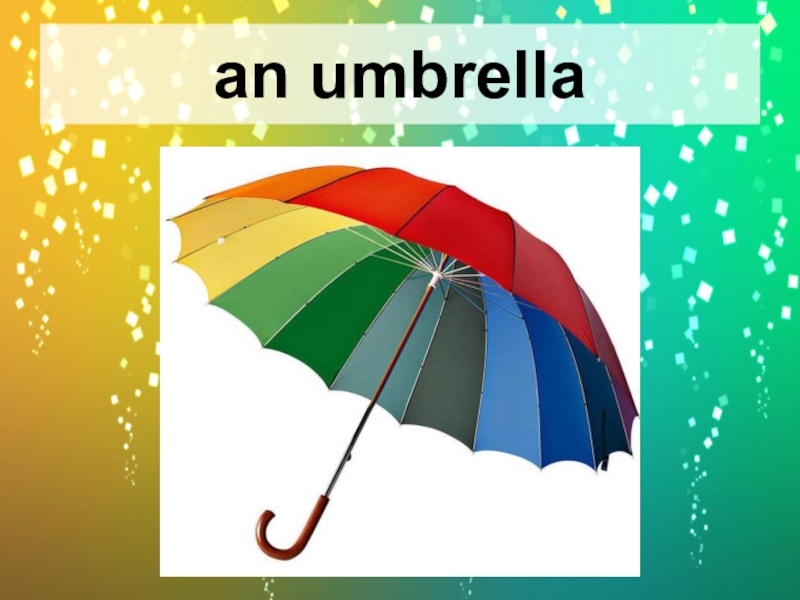 an umbrella.
