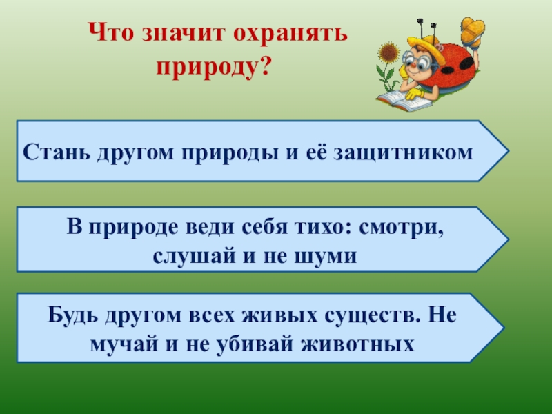 Что значит сохранить. Поговорки о бережном отношении к природе. Пословицы о бережном отношении к природе. Пословицы о природе. Поговорки на тему охрана природы.