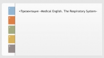Презентация по английскому языку The Respiratory System (Medical English)