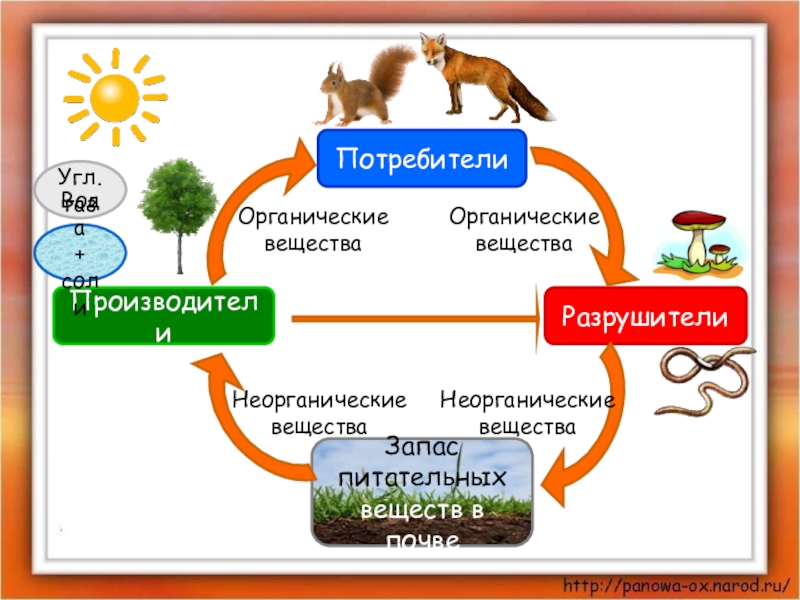 Схема круговорот веществ в природе 3 класс окружающий мир