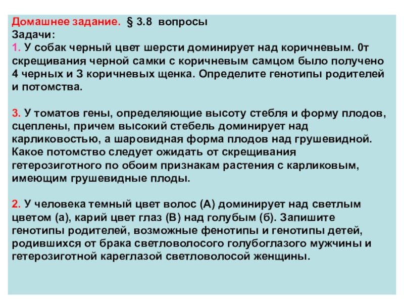 У собак черный цвет шерсти доминирует. Чёрный цвет доминирует над коричневым. У собак черный цвет шерсти задача доминирует над коричневым. У собак черный цвет шерсти доминирует над бурым. У собак черный цвет шерсти доминирует над коричневым от скрещивания.