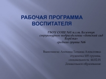 Презентация Рабочая программа воспитателя