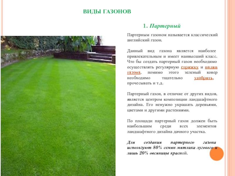 Реферат: Зеленые удобрения на садовом участке