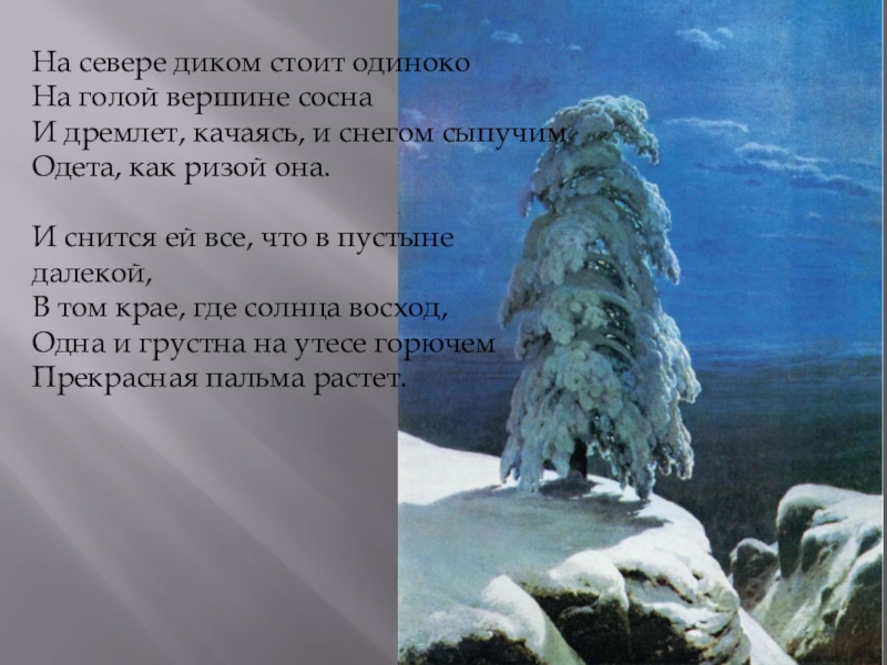 Стихотворение на севере стоит одиноко. М Ю Лермонтов на севере диком. На севере диком стоит одиноко. На севере диком текст. На севере диком стоит одиноко на голой вершине сосна.