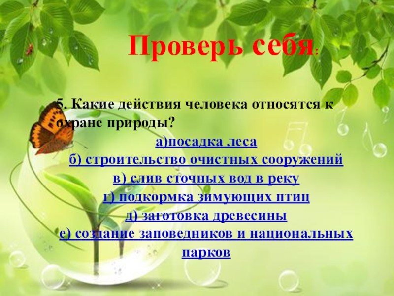 Охрана природы 3 класс. Охрана природы действия человека. Что относится к охране природы. Какие действия относятся к охране природы. Действия человека относящиеся к охране природы.