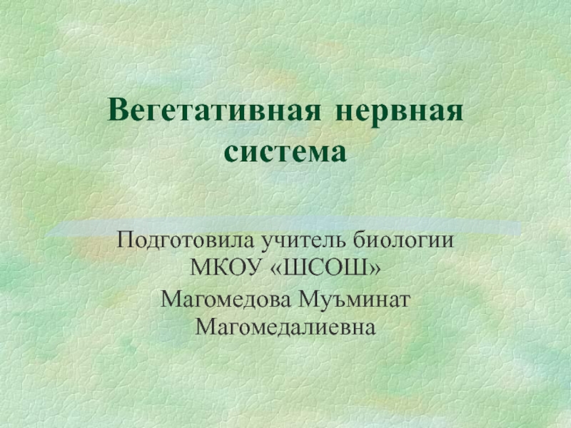 Презентация вегетативная нервная система 8 класс биология пасечник