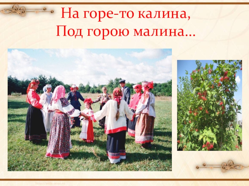 На горе калина