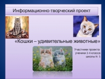 Презентация проекта Кошки 2 класс