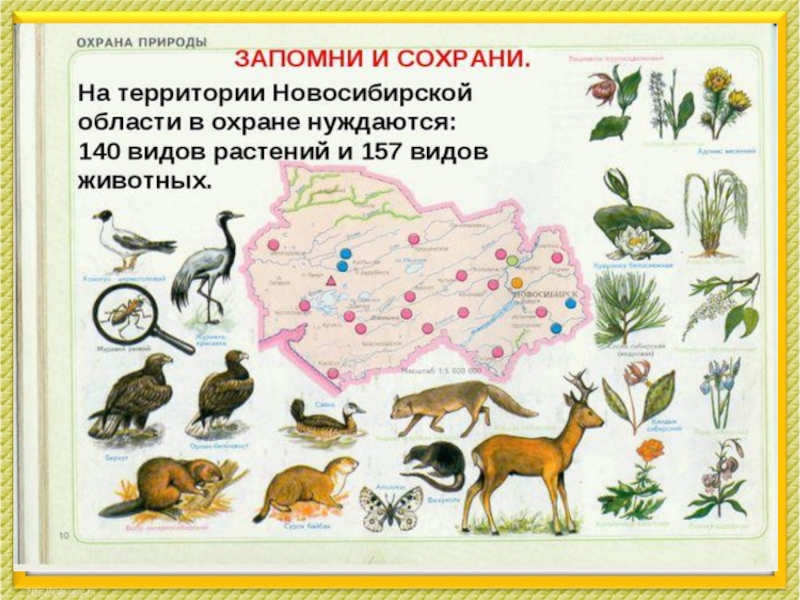 Красная книга карта