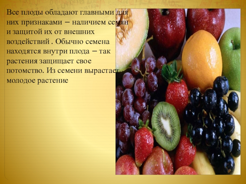 Какое значение плодов. Разнообразие плодов и семян. Разнообразие плодов и их роль в природе. Плоды и семена в жизни человека. Разнообразие плодов и их роль в природе и в жизни человека.