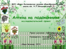 Презентация  Аптека на подоконнике