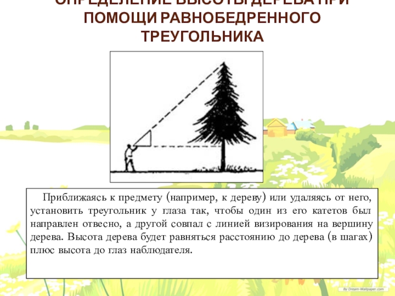 Определение высоты. Высота дерева. Определение высоты дерева с помощью треугольника. Определение высоты удаленного предмета. Высота деревьев в городе.