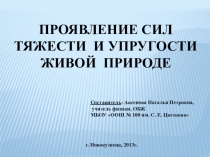 Презентация ПРОЯВЛЕНИЕ СИЛ ТЯЖЕСТИ И УПРУГОСТИ ЖИВОЙ ПРИРОДЕ