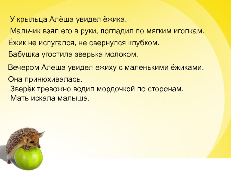 Во вторник еж принес на 3. У крыльца Алеша увидел ежика. У крыльца Алеша увидел ежика мальчик взял ежика в руки. Мальчик взял ежика в руки погладил по мягким иголкам. Ежик Алеша.