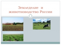 Презентации по географии на тему земледелие и животноводство
