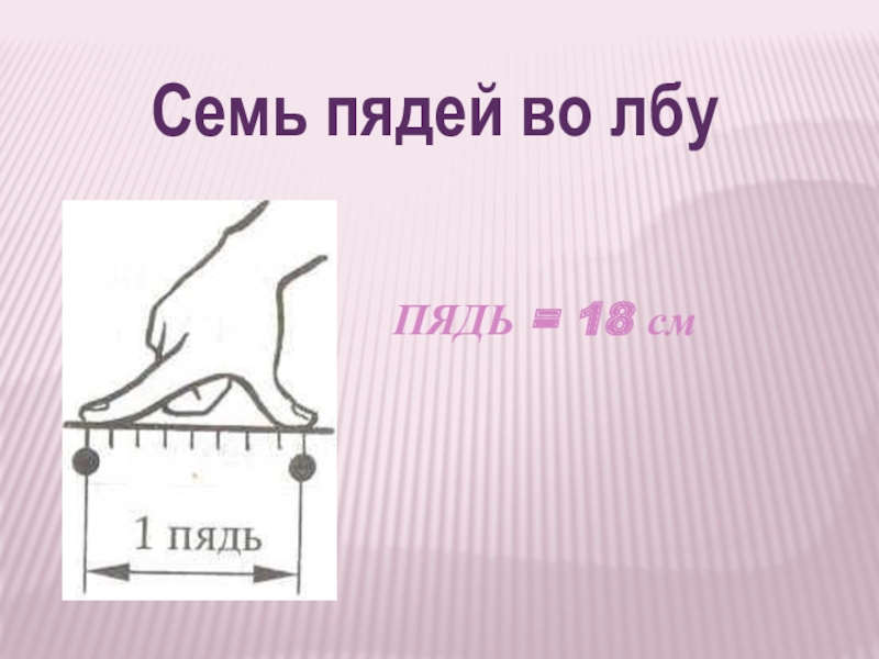 Семи пядей во лбу значение. Семь пядей во лбу. Семь пядей. Пядь. Семи пядей во лбу фразеологизм.