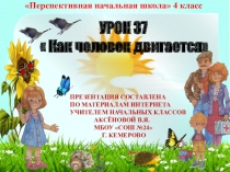 Презентация по окружающему миру на тему Как человек двигается (4класс)