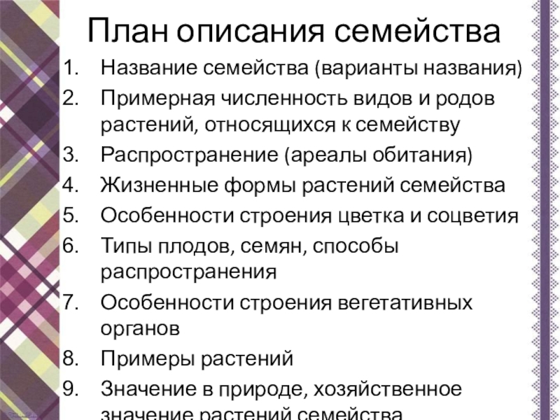 План описания семьи