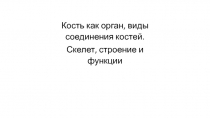 Презентация по анатомии на тему строение костей и виды их соединения