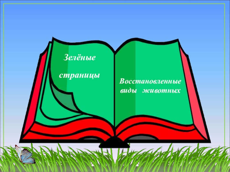 Зеленая книга презентация