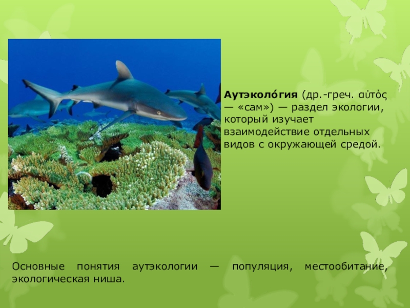 Разделы экологии аутэкология. Аутэкология. Термины аутэкологии. Аутэкология изучает.