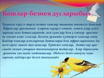 Презентация Кошлар-безнең дусларыбыз!