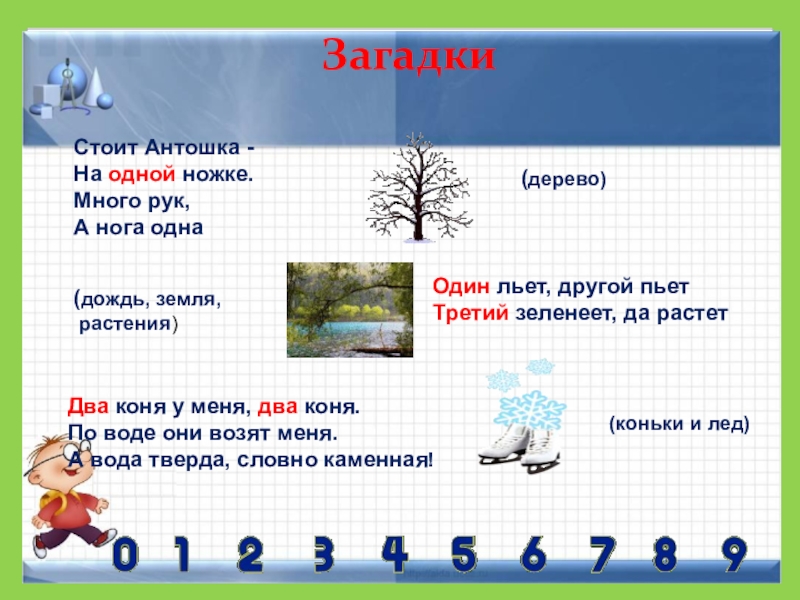 Загадка ножки. Загадка много рук а нога одна. Иллюстрация к загадке много рук а нога одна. Стоит Антошка на одной ножке загадка. Загадки рук много а ног.