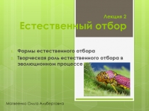 Презентация по биологии на тему Естественный отбор. Формы отбора. Творческая роль Естественного отбора (11 класс)